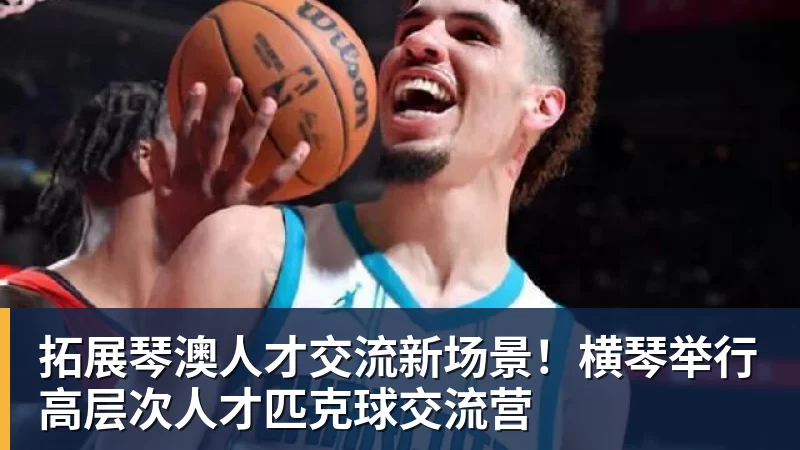 拓展琴澳人才交流新场景！横琴举行高层次人才匹克球交流营